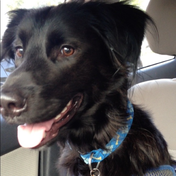 Meet your Posher, Angela - Picture 2 of 3